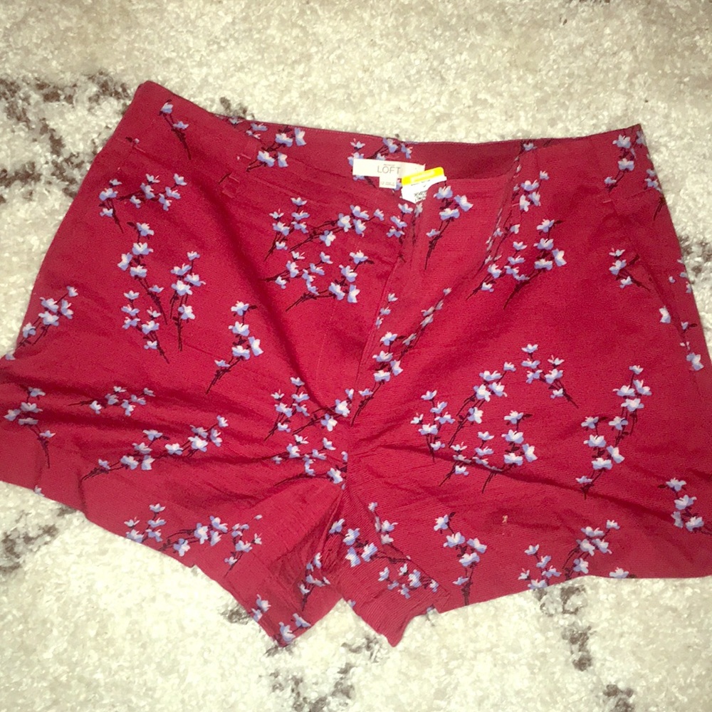 NWT Ann Taylor Riviera Short Size 12